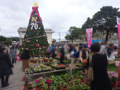第28回 南農花まつり