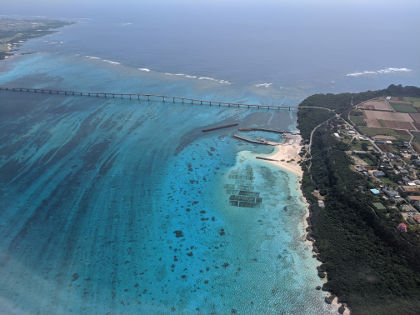 宮古島レモン