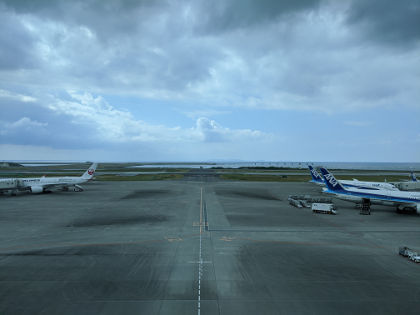 大豆メシ