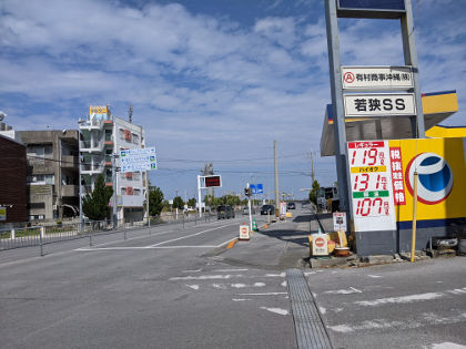 レモン散歩