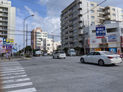 レモン散歩