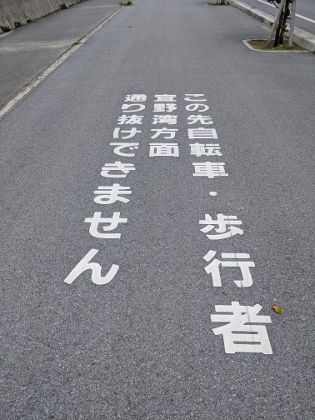 レモン散歩
