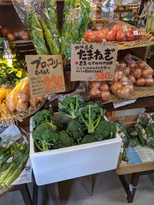 レモン散歩