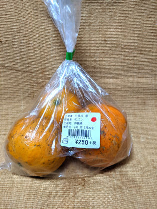 レモン散歩