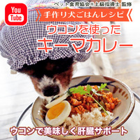 【犬ごはんレシピ】ウコンで肝機能強化！わんこキーマカレーの作り方 2023/05/08 10:29:33
