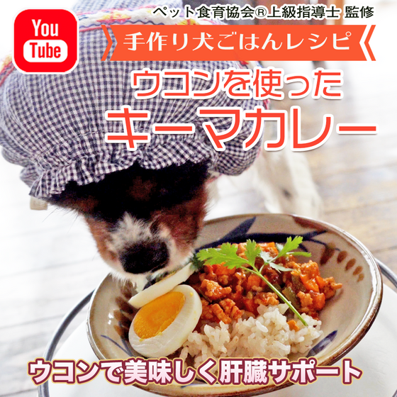 【犬ごはんレシピ】ウコンで肝機能強化！わんこキーマカレーの作り方