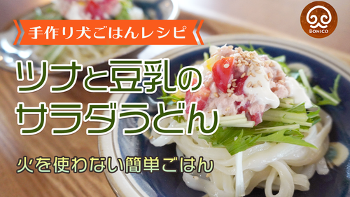 【犬の手作りご飯レシピ】ツナ水煮缶で作る簡単サラダうどん【動画】