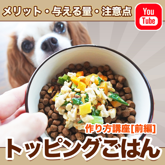 【YouTube動画】トッピングごはんの作り方（前編）