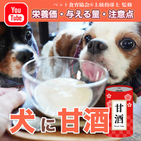 【動画で解説】最強の夏バテ予防食！犬に甘酒をおすすめる理由 2022/07/25 13:00:11