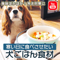 【動画】犬ごはん☆冬に絶対食べさせたい３つの食材 2023/01/26 09:38:12