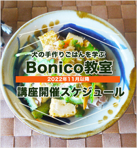 Bonico教室　11月以降の開催スケジュール 2022/11/03 15:00:25