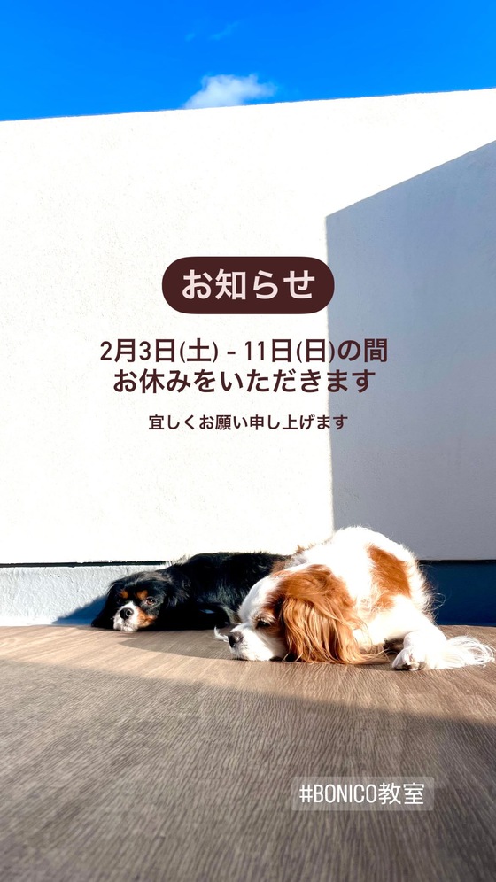 【Bonico教室】臨時休業のお知らせ
