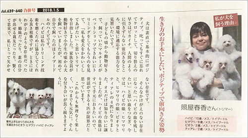 琉球新報 かふう戌年特集にて、犬を飼う素晴らしさについて語りました