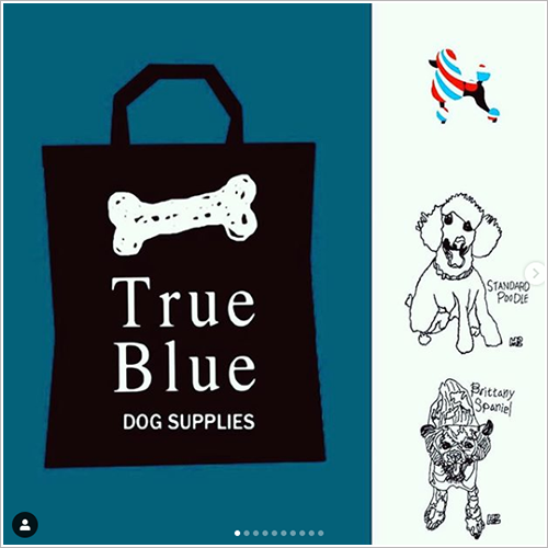3/15True Blueさんのイベントで犬ごはん販売をします♪
