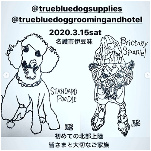3/15True Blueさんのイベントで犬ごはん販売をします♪