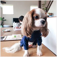 独学もいいけどプロの話を聴くのもおすすめです！食育入門講座レポ 2020/11/14 00:22:39