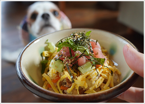 【YouTube】犬ごはんレシピ「わんこ海鮮ちらし寿司」