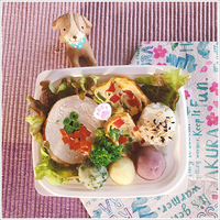 【犬ごはん販売会】TrueBlueさんで「春の行楽わんこ弁当」を販売します！ 2021/02/24 17:41:50