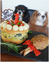 スイミー1歳のお誕生日