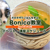 4月〜6月の講座＆イベントスケジュール 2023/04/01 10:52:47