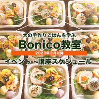 3月〜５月の講座＆イベントスケジュール 2023/02/26 18:00:52