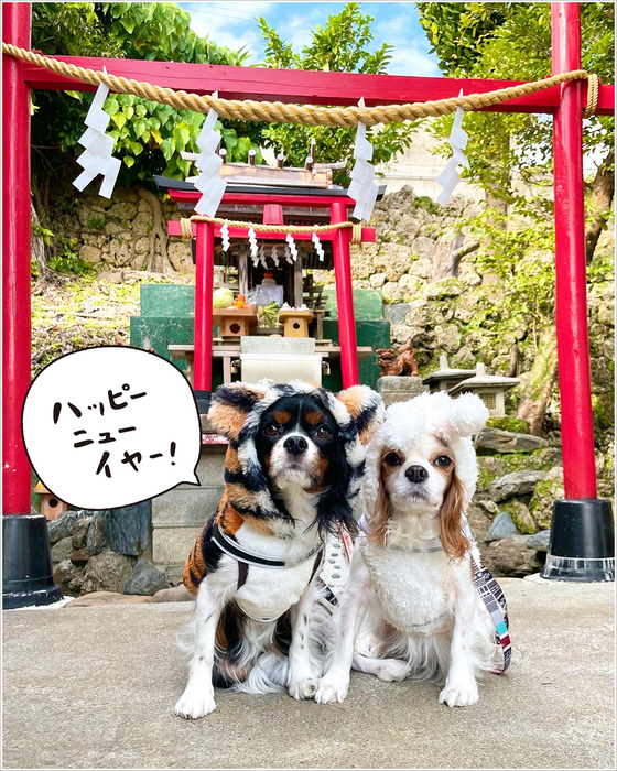2023年も宜しくお願いします