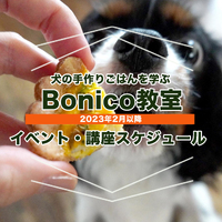2・3月の講座＆イベントスケジュール 2023/02/01 15:07:21