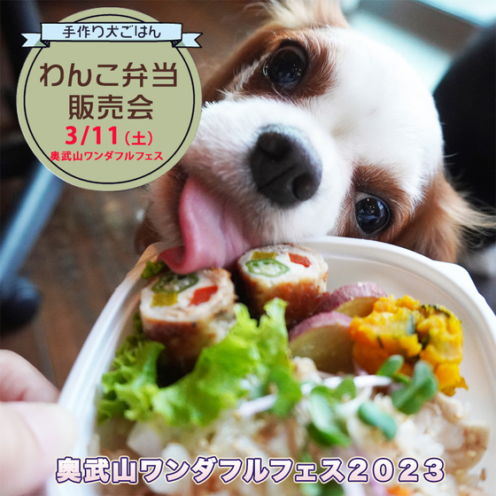 【3/11奥武山ワンダフルフェス】犬ごはん販売のお知らせ