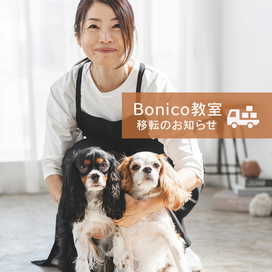 Bonico教室、移転・教室体制変更のお知らせ