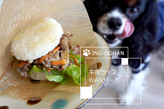 【犬ごはんレシピ提供】牛肉ライスWANバーガー