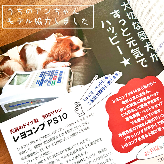 モデル協力させていただきました