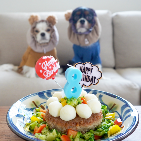 アン8歳になりました