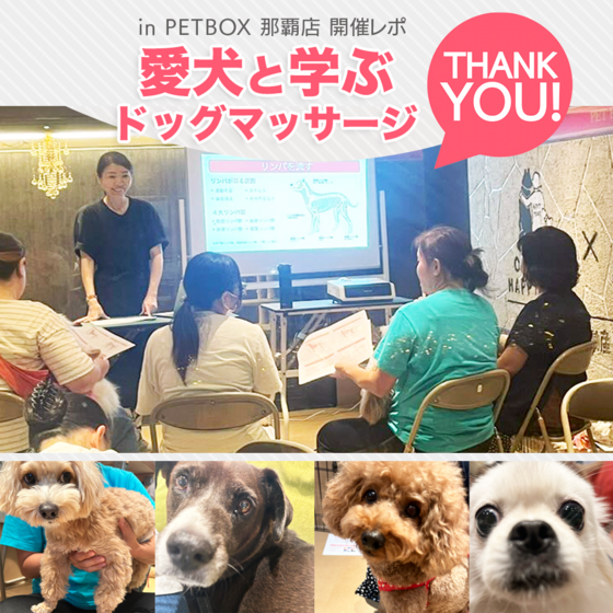 10/20ドッグマッサージ講座 in PETBOX 開催レポ