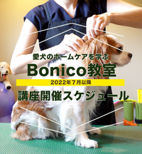 【Bonico教室】7月以降のスケジュールです 2022/07/05 09:13:09