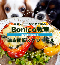 Bonico教室　8月以降の開催スケジュール 2022/08/09 17:53:35