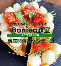 Bonico教室 9月以降の講座開催スケジュール 2022/09/09 09:30:43