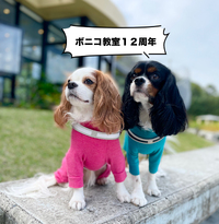 Bonico教室は１２周年を迎えました 2023/04/30 22:27:32