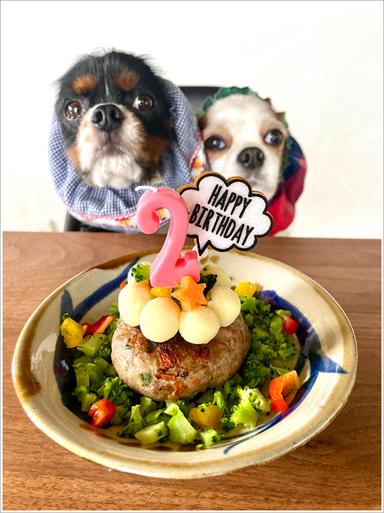 スイミー2歳になりました！