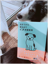 「無駄吠え」は英語で何という？