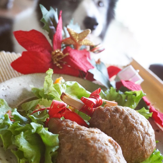 【告知】クリスマス犬ごはん販売のお知らせ