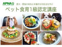 【病気と食事】ペット食育１級講座 1月開催のお知らせ 2022/11/23 16:36:59