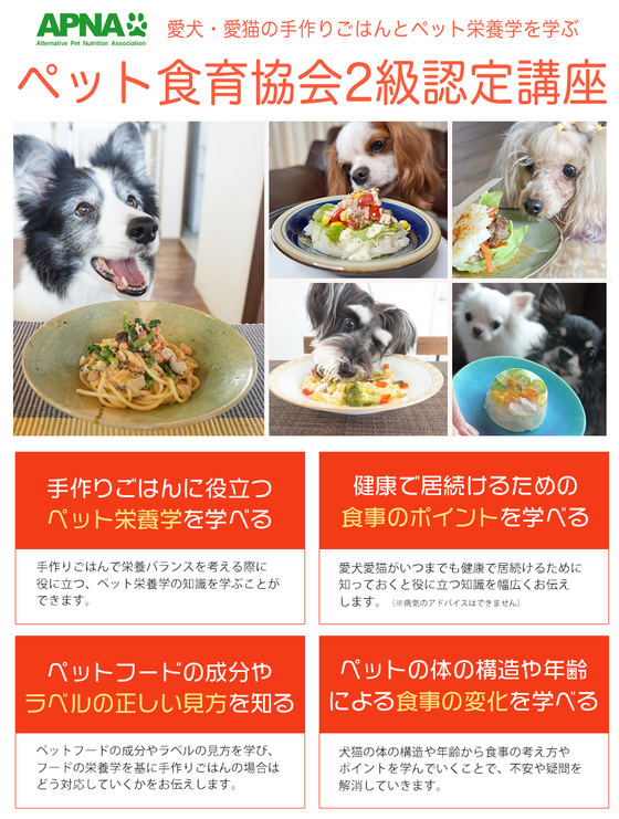 ペット食育2級講座