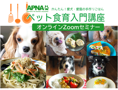 【オンライン】ペット食育入門講座Zoomセミナーを開催します