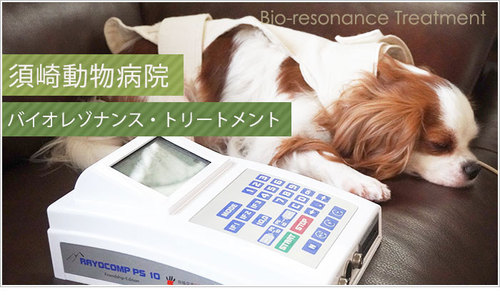 【須崎動物病院】バイオレゾナンス・トリートメント季節パックのサービス開始