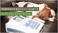須崎動物病院のバイオレゾナンストリートメントが受けれます