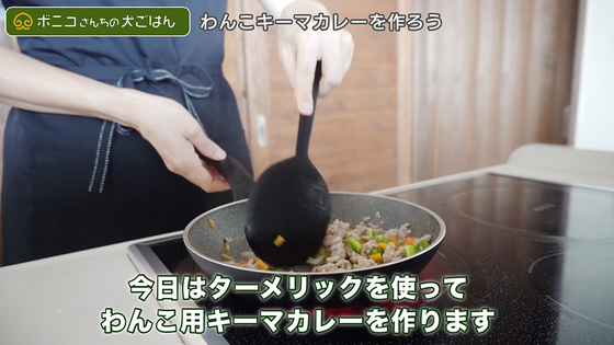 【犬ごはんレシピ】ウコンで肝機能強化！わんこキーマカレーの作り方