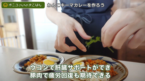 【犬ごはんレシピ】ウコンで肝機能強化！わんこキーマカレーの作り方