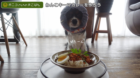 【犬ごはんレシピ】ウコンで肝機能強化！わんこキーマカレーの作り方