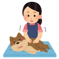 Bonicoの無料メルマガ読者登録