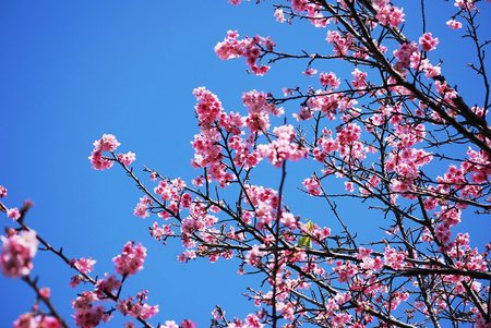 イナミの週末